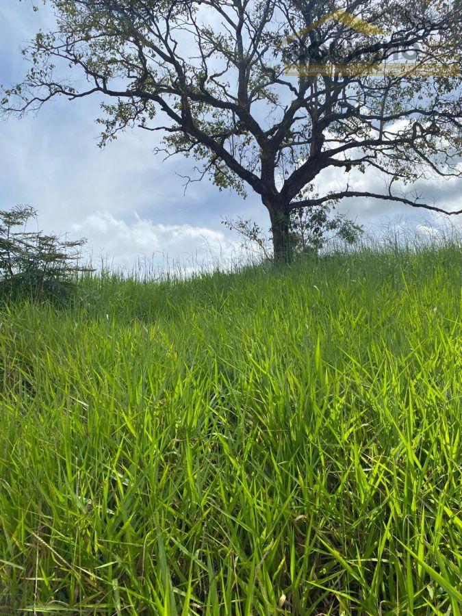 WhatsApp Image 2026-02-23 at 14.16.47 (2).jpeg